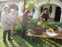 Bild in Großansicht öffnen